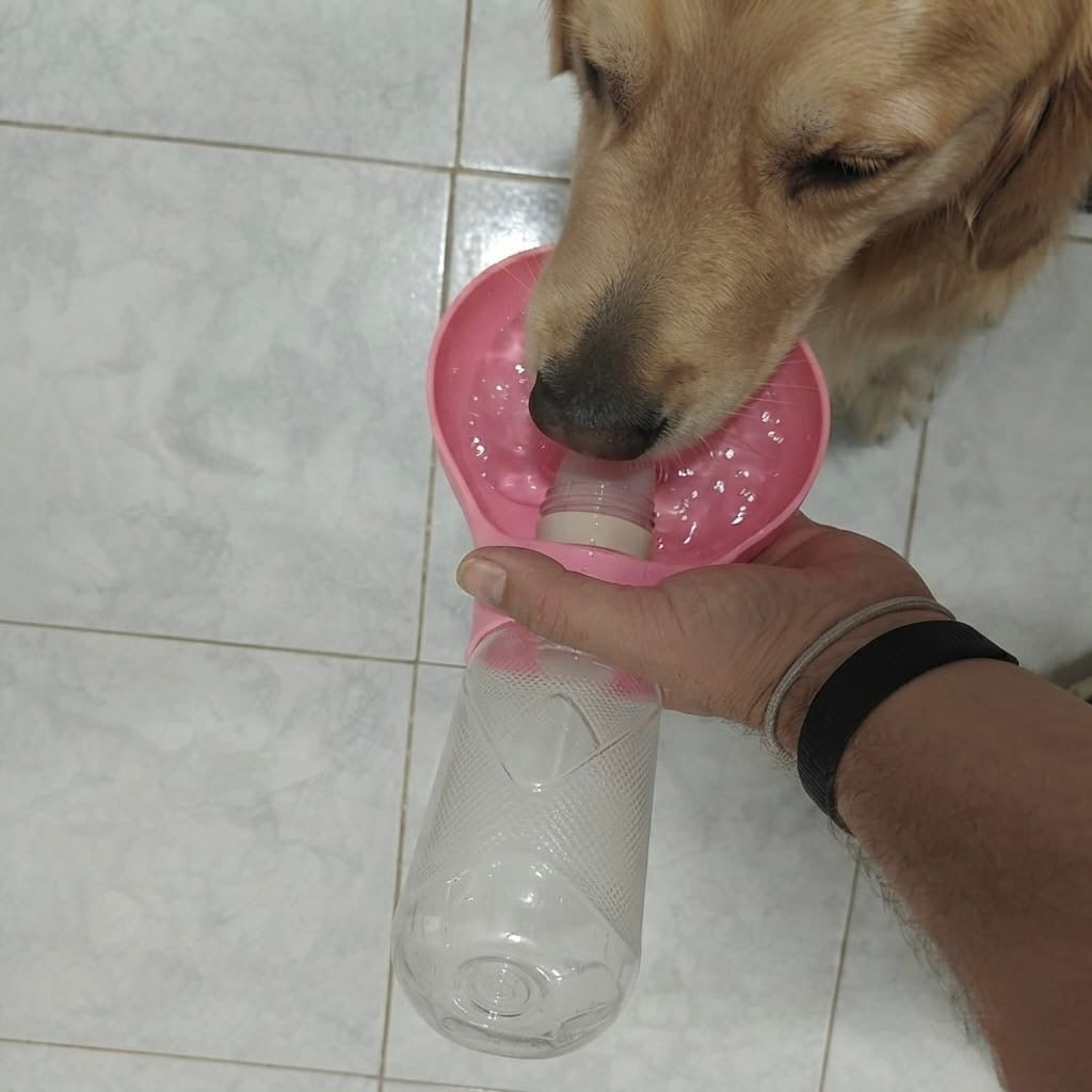bebedero para mascotas