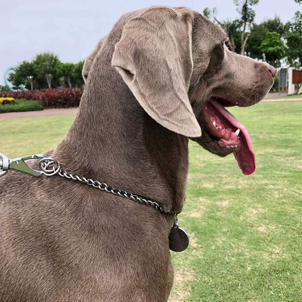 Cadena De Perro 1,2m  Eslabon 4mm Santul